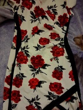 Floral Red Rose Print Sheath Dress